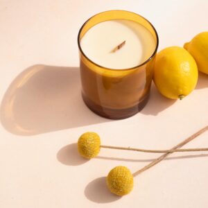 pexels-cristian-rojas-7615802